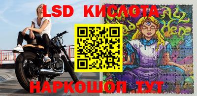 крисы Лесосибирск