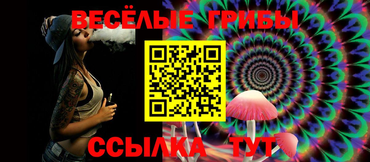 Псилоцибиновые грибы мухоморы  Псилоцибиновые грибы Psilocybe  Зерноград  Вход с VPN 